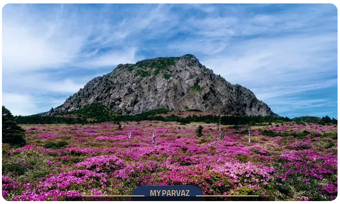 Hallasan National Park in South Korea